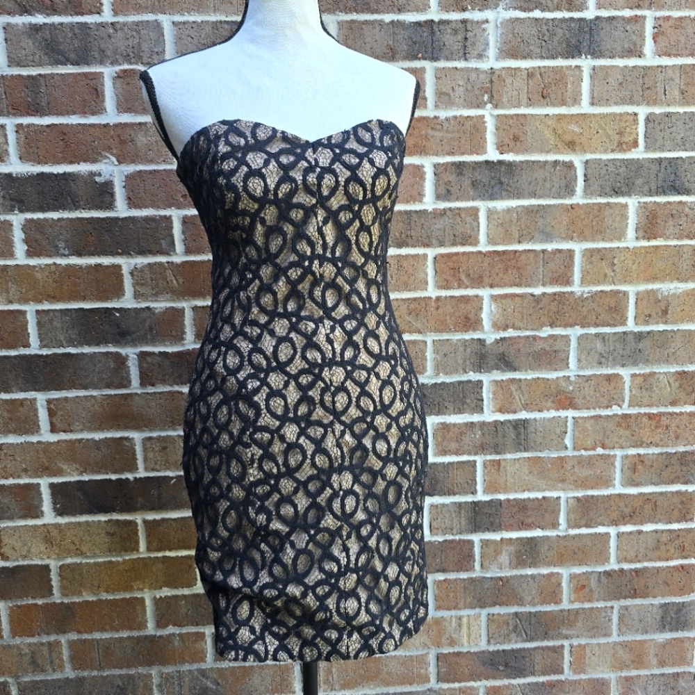 Gianni Bini Strapless Dress in Black and Khaki